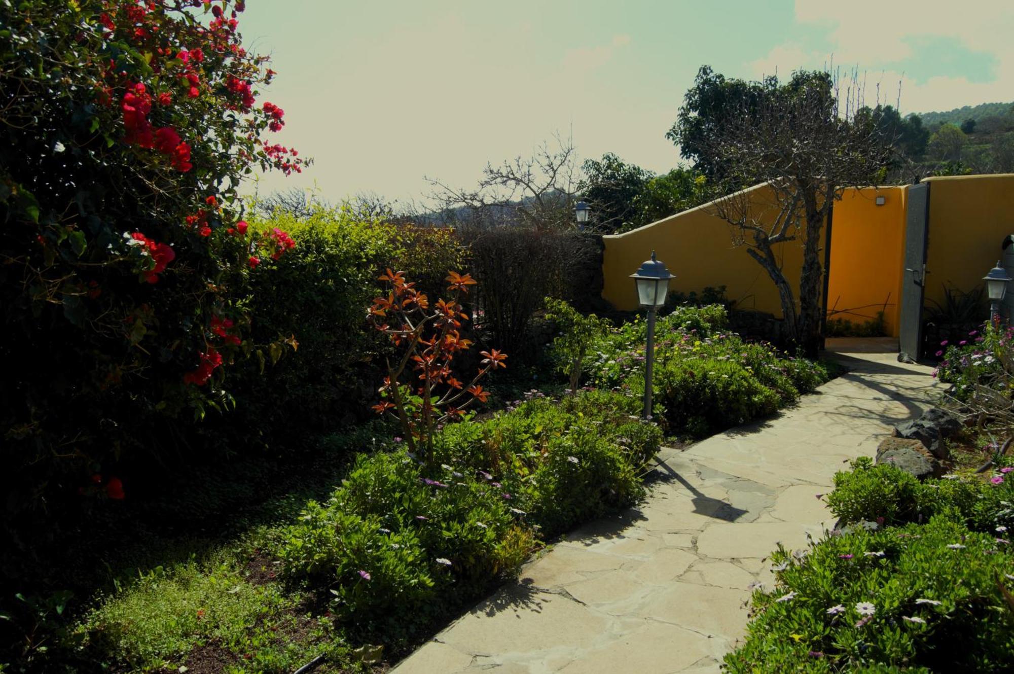 Finca La Majadera El Rosario  エクステリア 写真